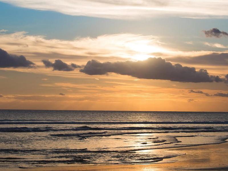 1AD0A9762DBAC7F0C246CA9EDF360D23