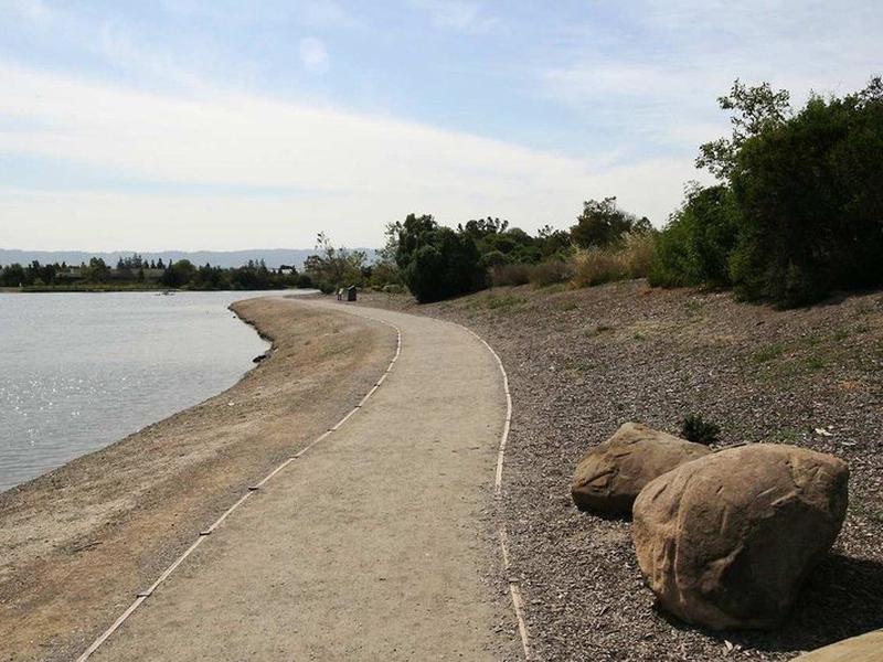 766ECDC64E94A9E1D1A9B3310DFCB44C