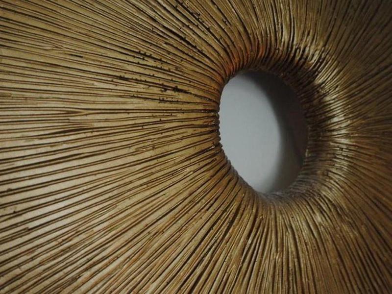 DB6F2731DAFCF84A51DF26A8CDF38201