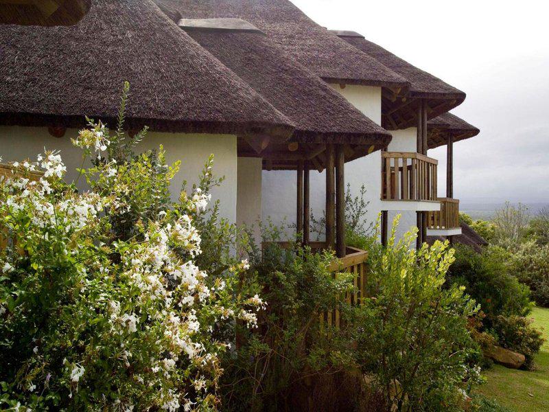 302873922EB8D64A65644C50819DF044