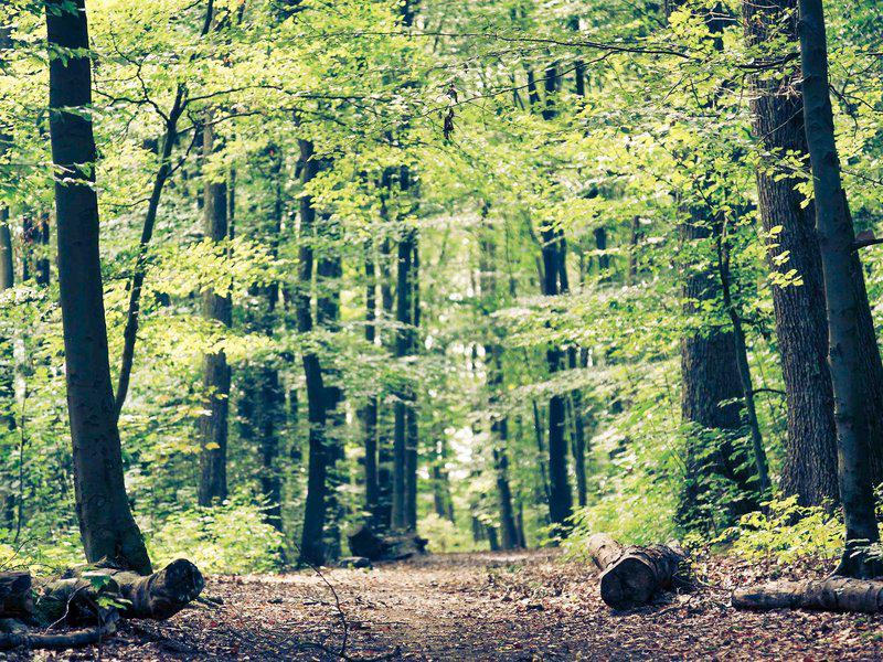 F9BDA08307B83F80491F89E16C2B3009