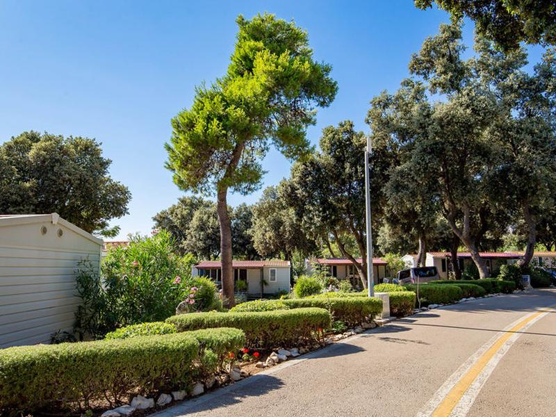 F7E319F219158A2805355E891BC7FC81