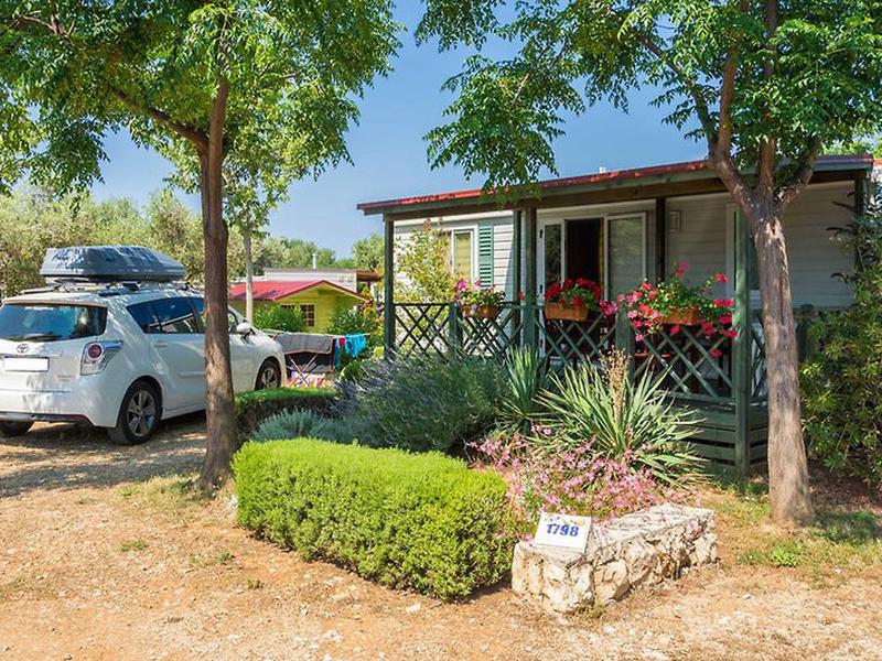 D7995B9CE70FF9B15B48945BFF328F0D