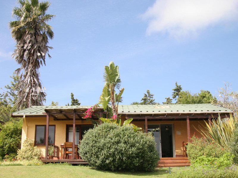 42FE24C966B5705ED8FC584608B99B80