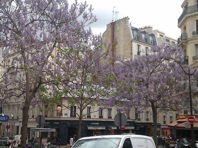 6C89A6E767CDC0010D40A122A294AEEE