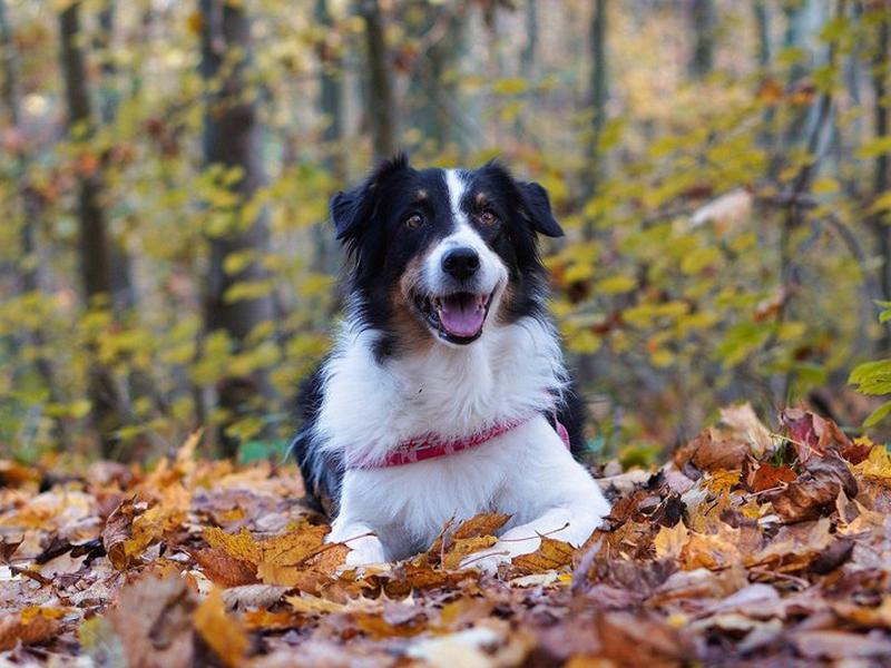 B710E8B5259FDBEA9D6338597C882FD6