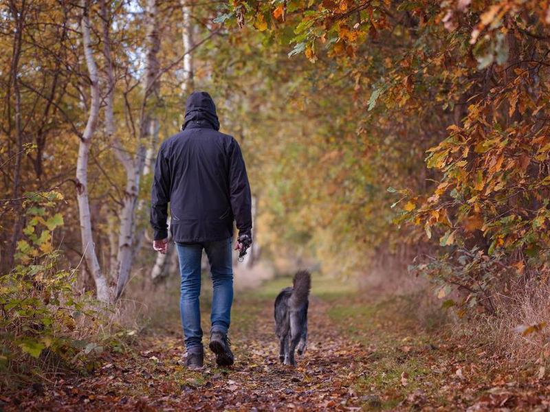 01895DD2AB18D0DC6BAE7DEB4E7E0CDB