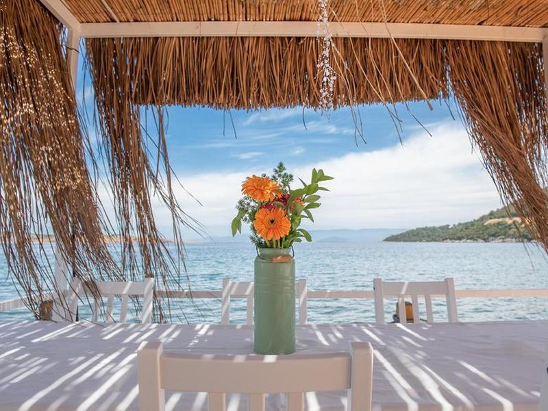 479A9428A6BAEEAD99A0381DC56510AA