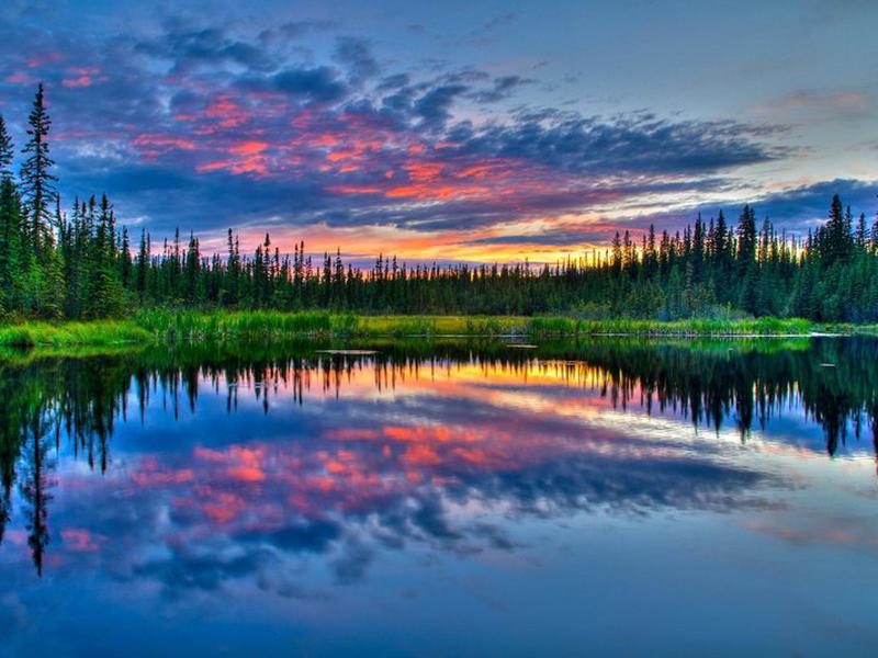 4C431D90FAB827D5024FC812A8162D5D