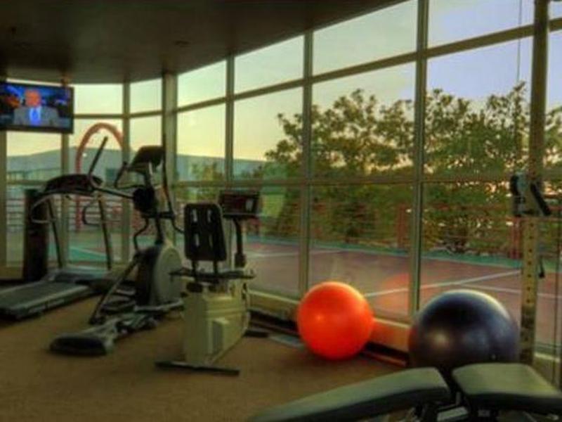 C6C89D485F295C4A53815B1E5BE49E29