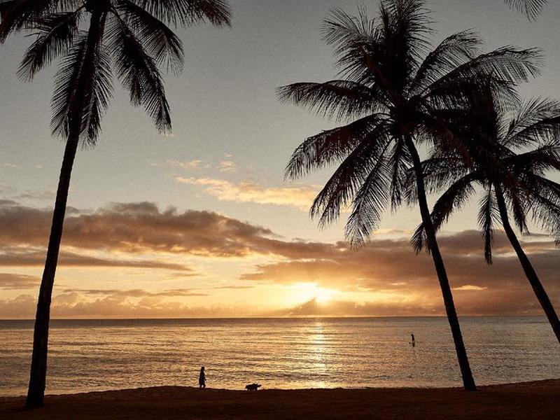 81FC18AEAEA53860CDBFC13315215E6A