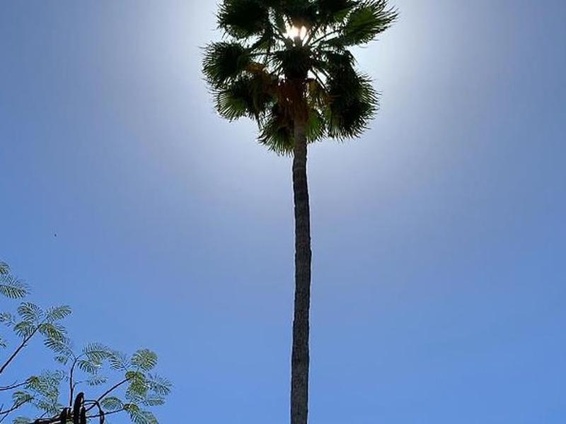 4893E225F9C4026520EA3FF0EAFA4A14