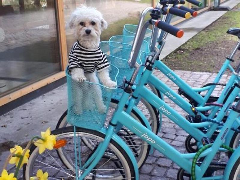 229448D4171A1C82B3180FE4A3F529F7