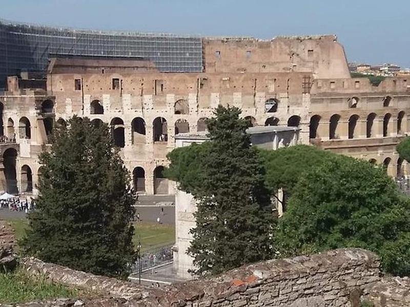 47A2D1491985DEA3D724336F2B296205