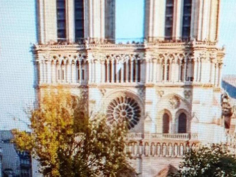 D028625B8668754A040AD9555B35E644