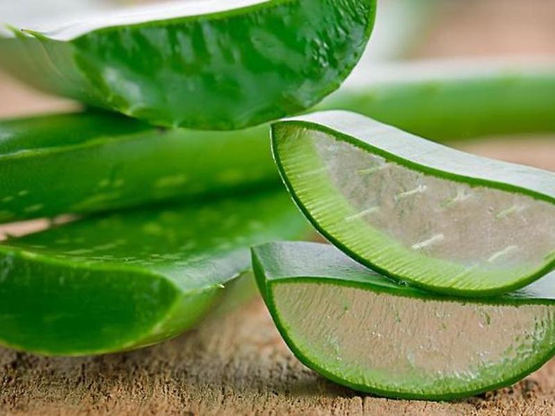 1921955D8A2041C603313CB6E37C73F8