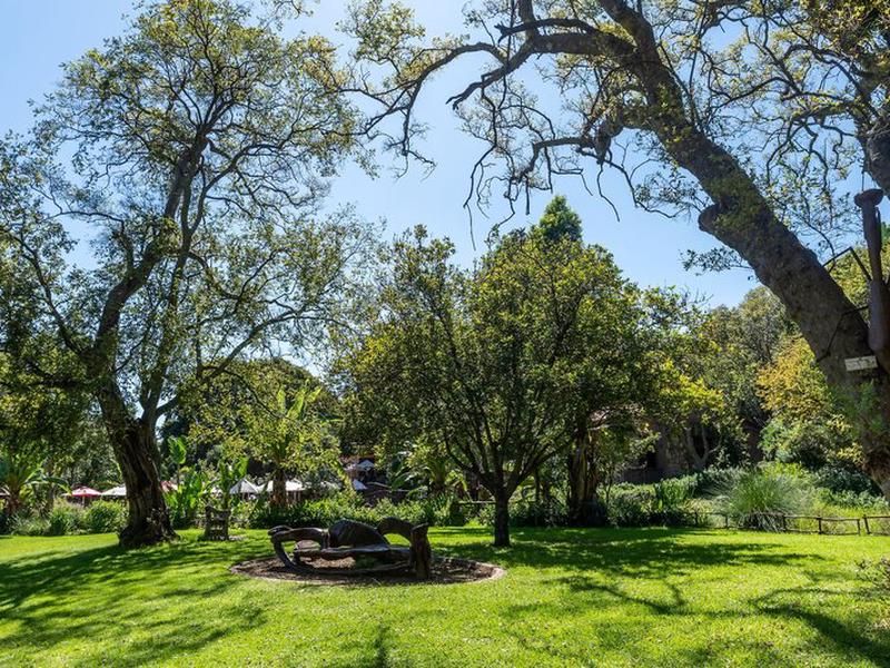 1D66796ADFF4C5A2DCD193AA37E3C7AE