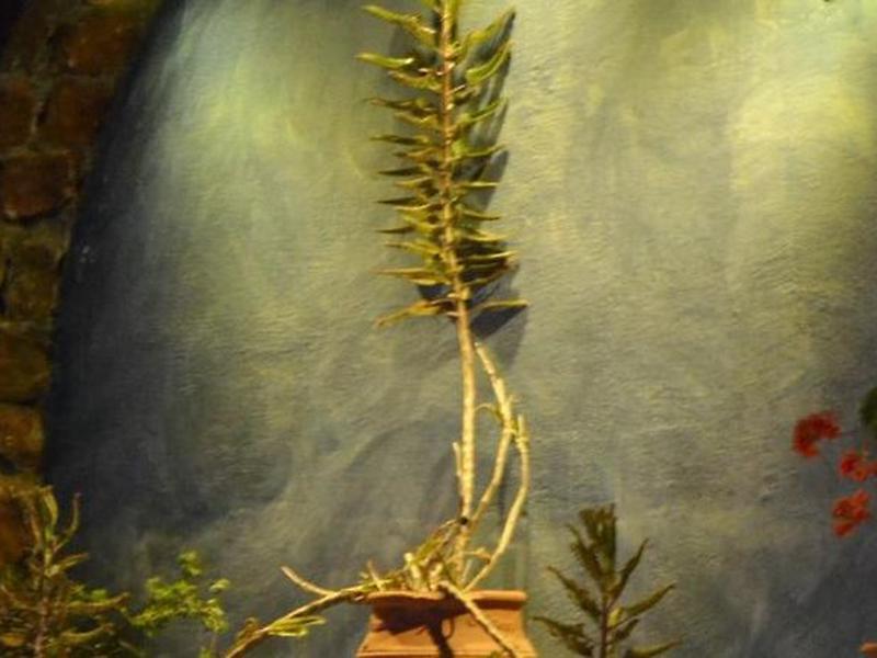 D26304D79E511FEF4157E6DA37A7A058