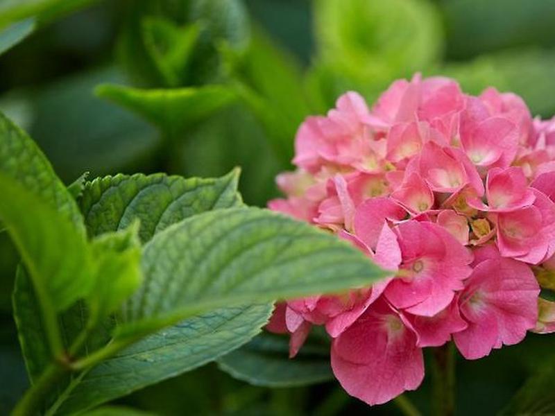 DE1A341759FA66E21901333701697138