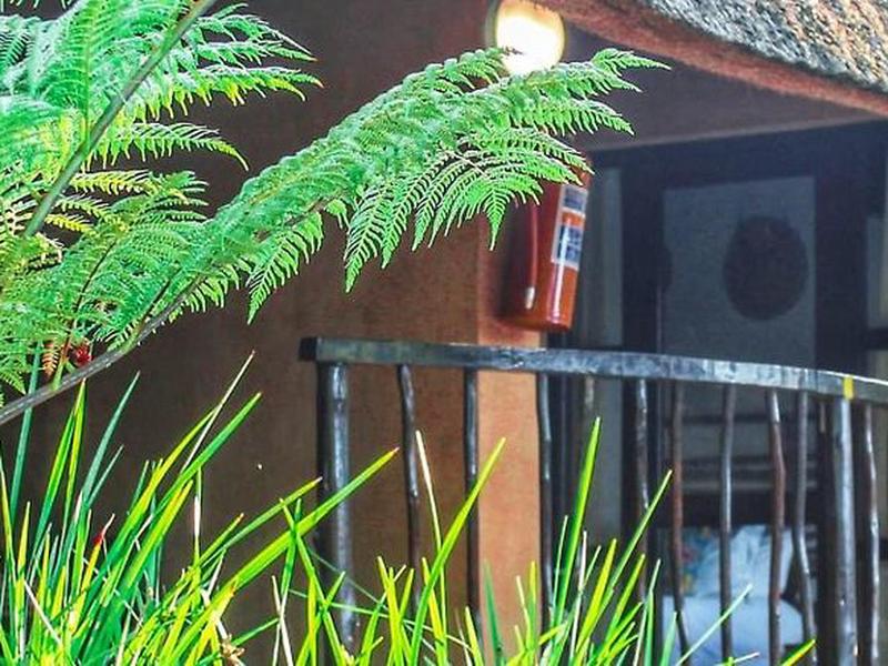 862E9C28B2A2B9332872B36D379D7DFB