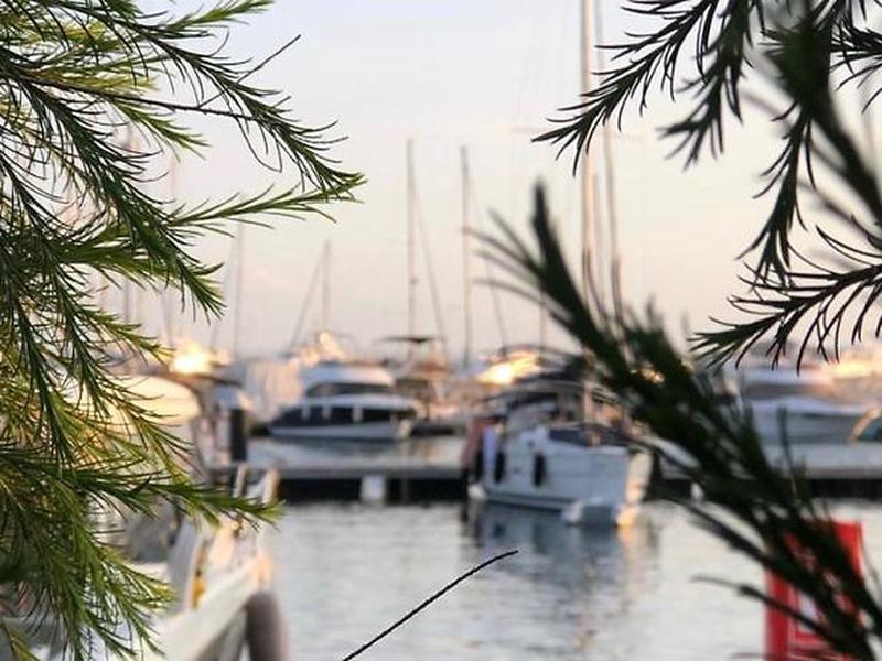 99E5541A62CD32D8E9E3E1F45C06625A