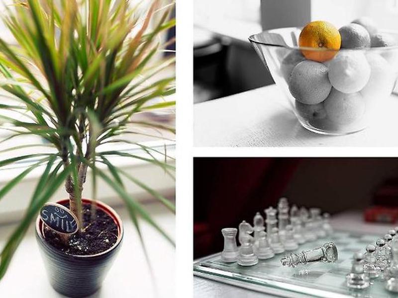 9D7AECF1CEB3C31006703F28A0B5F9B5