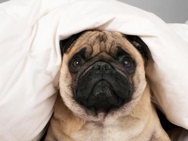 B54A05681831FDDA5FD8858ACA40C0D2