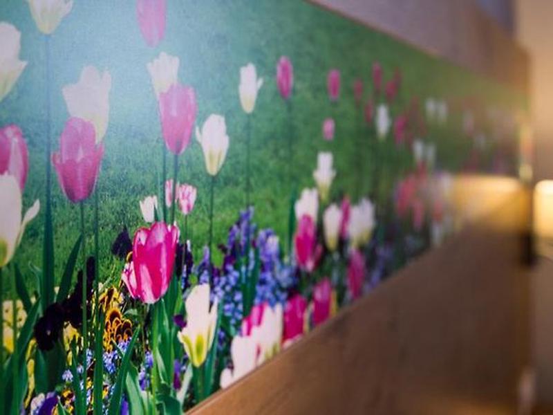 9B4CFC9904E7CEE086AFCCC21C188223