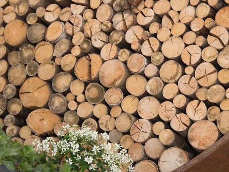 3FBF3D80BB18FCD97247EAA313C505EB