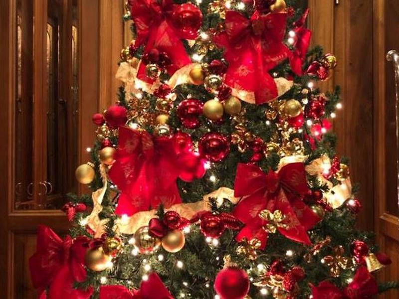 555F3C69A0D9B0E5F6F4278D1100CEFA