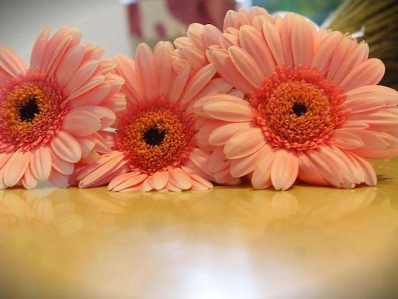 A8ABE4B60093CF1362545BF4C159F5F7