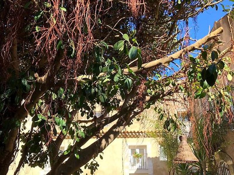 2D2B98606D1BA0858AE8E8329BCF9794