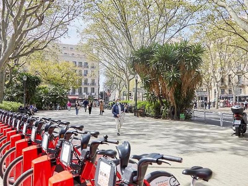 CF3EF2B5234443C7736F7818D26CA2C9