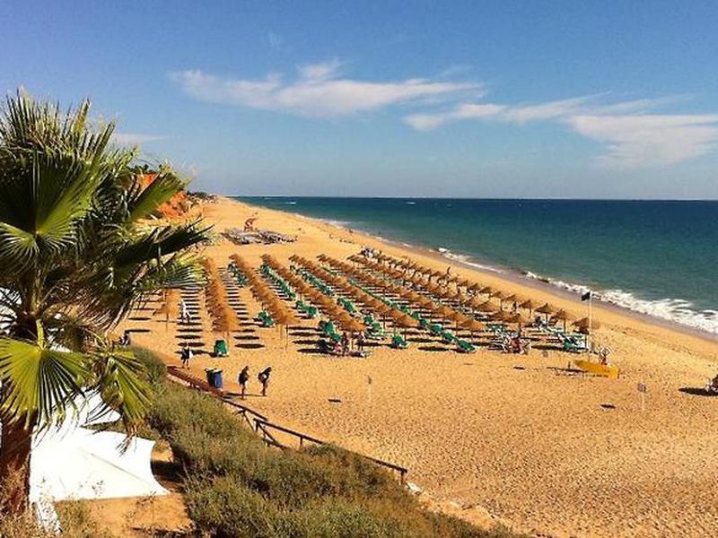 E6EC0E0FA47ED2C6C724A867BED75B5B