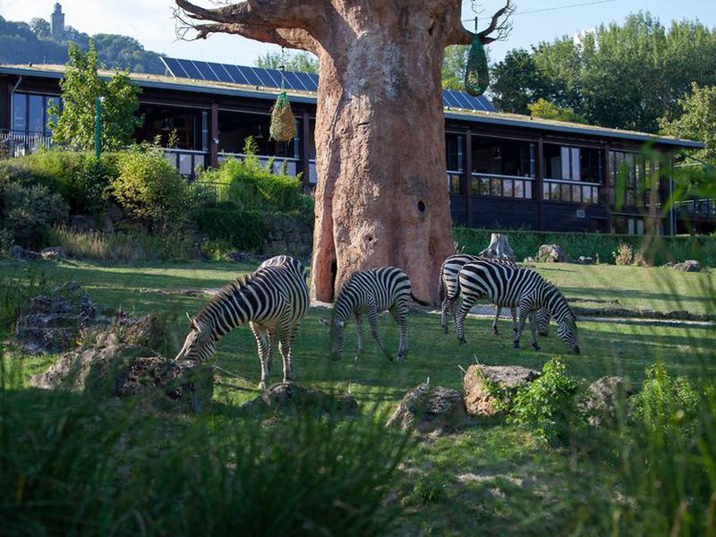 1A15B2C033479140AEA8BDD008FE685E