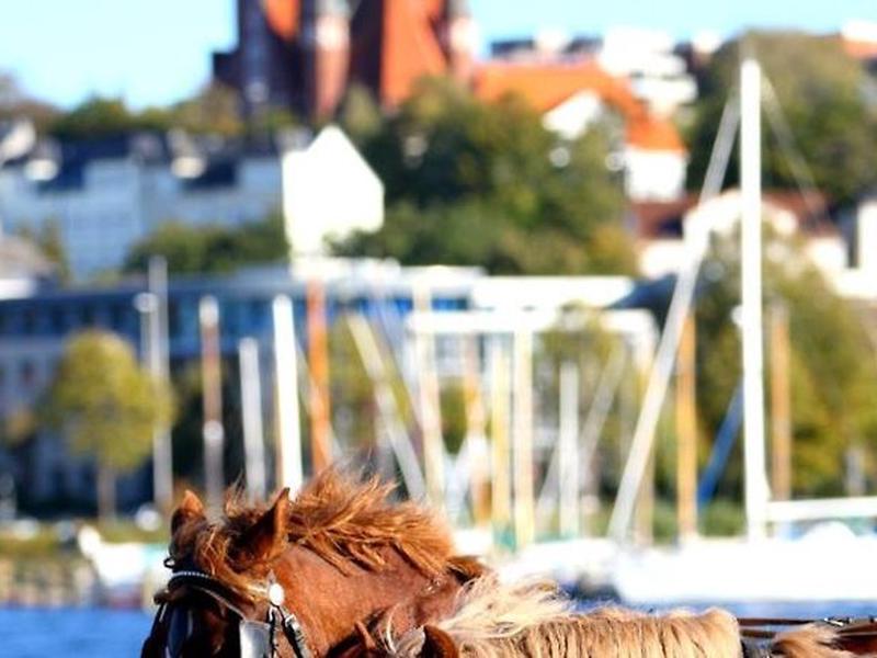 4969560D6C010758A06A21B042ED9707