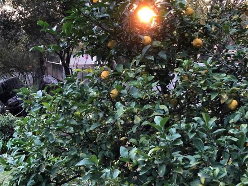 638A1D0F847B8D0DE5B77661ADBAFEE5