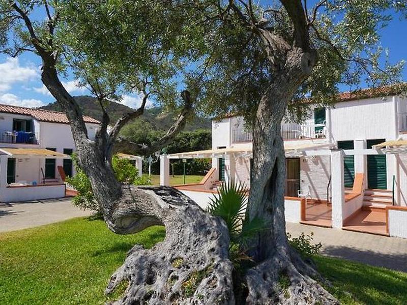 942F847D94CB7C1E2A0CCF5CC44EDD3E