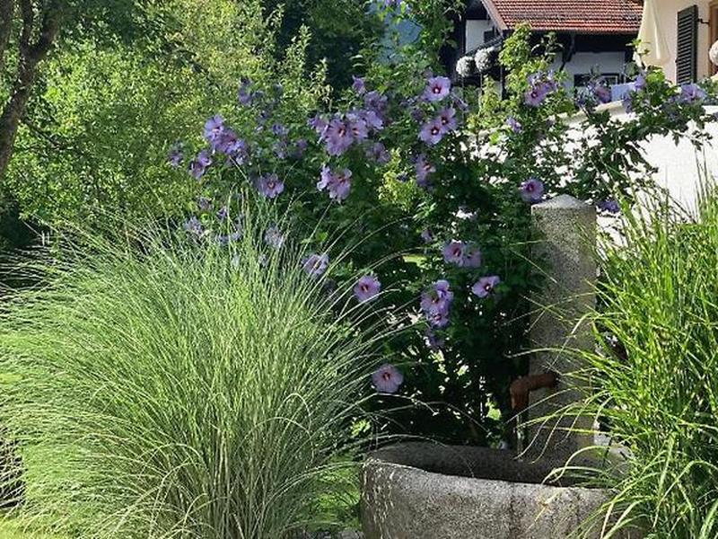 4090A423213A43FD2F85DB3FCBA81B88