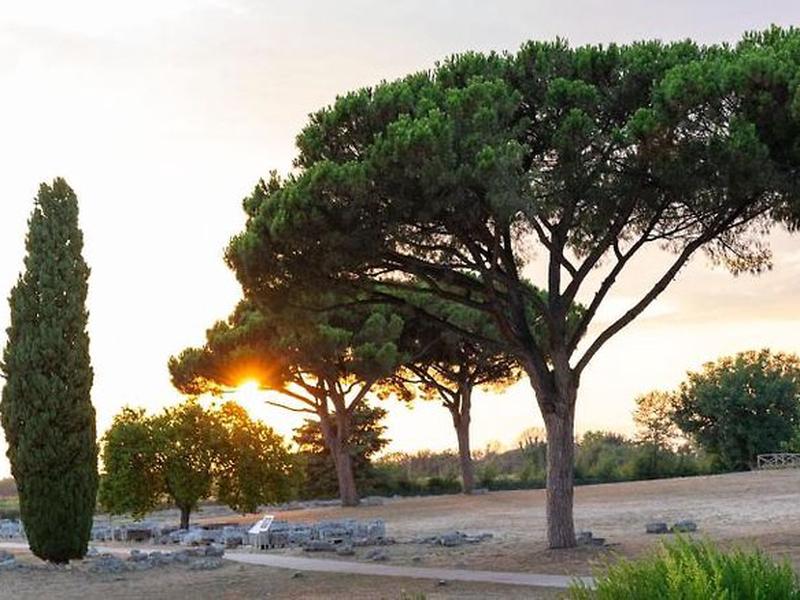 C618307CCA0B3A94BF6AB51980444BAD