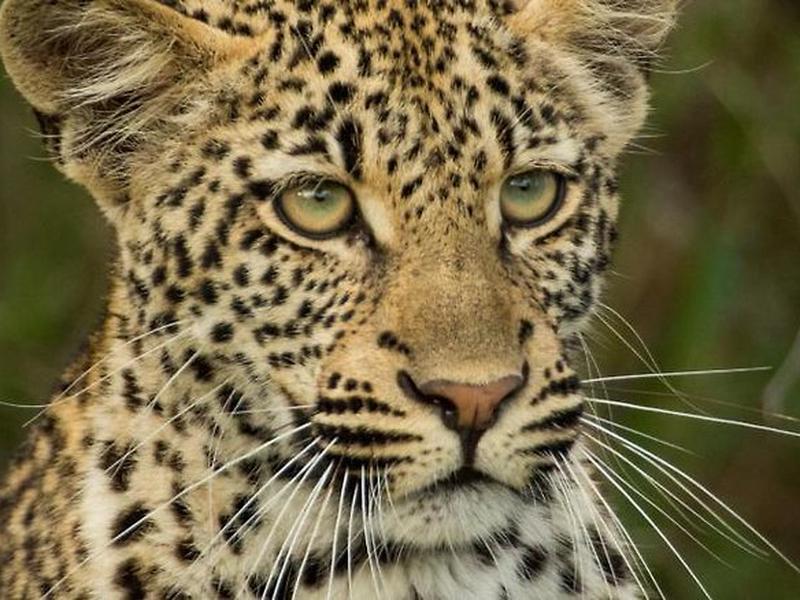 9E87D337E12324D7EA95C0A57F01850F