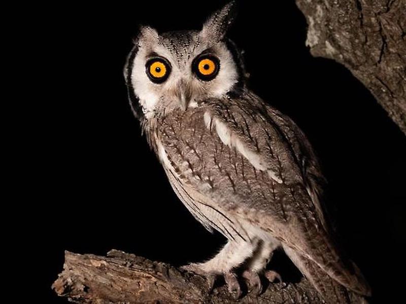 D225D303CAD62CE01945F772EE4D2F20