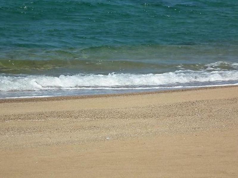 E356839BD3B2BE969749312FB4C19A6A