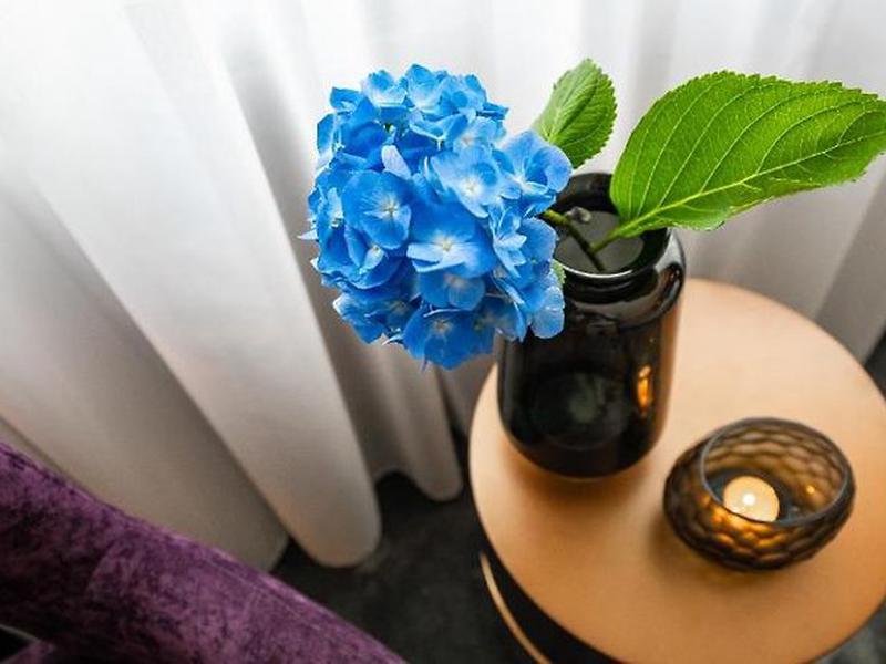 61E61F411345C71E433D1697559570F0