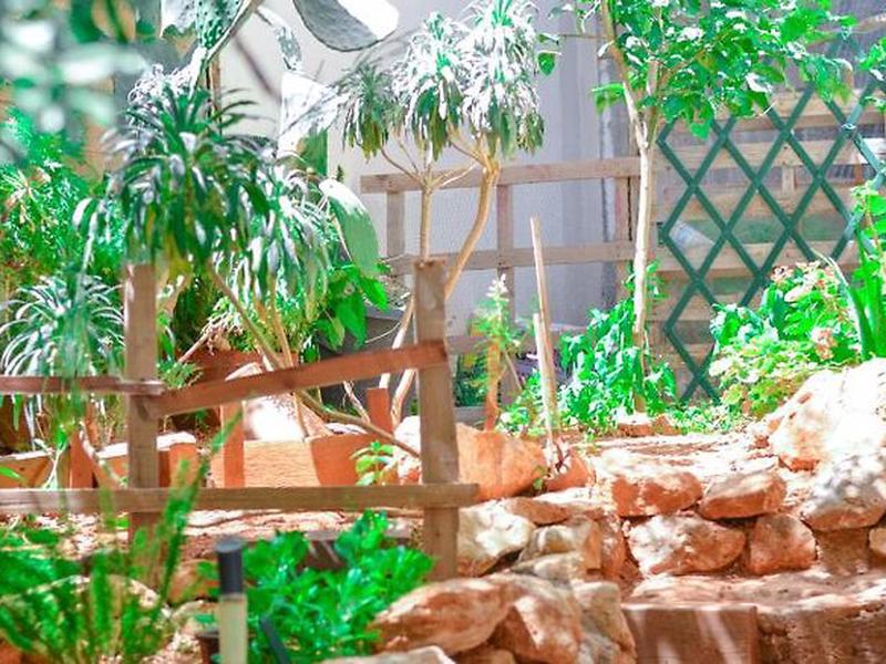 2B9C3E0BB3982F12D94AE1137B35B2B1