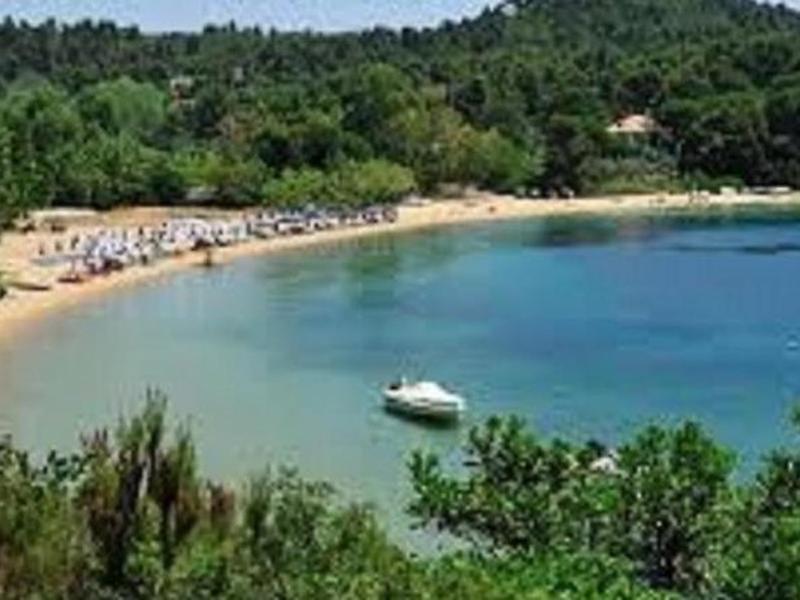 61A545074F784864C021FE941E85DD34