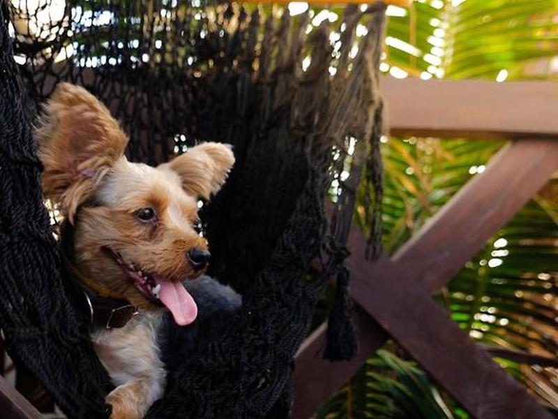 2E690D3FB6B748B5A83E2964D968B366