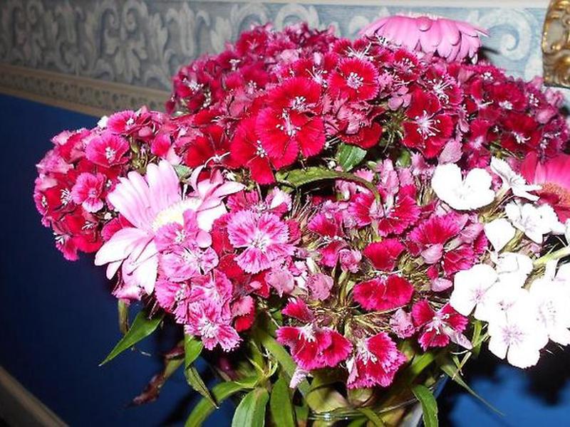 B31584705C203FA49CBA664EF13A6EF2