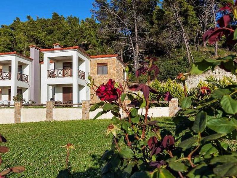 36E761541FD19E7B4B0D98B772D7CA5A