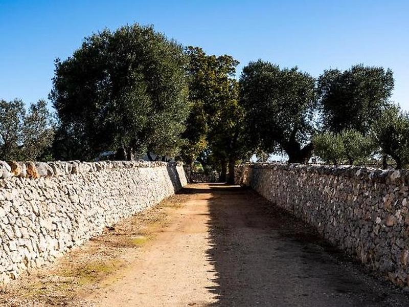 B8DB5ADEAC6C8BADE64F6C16E0D558F3